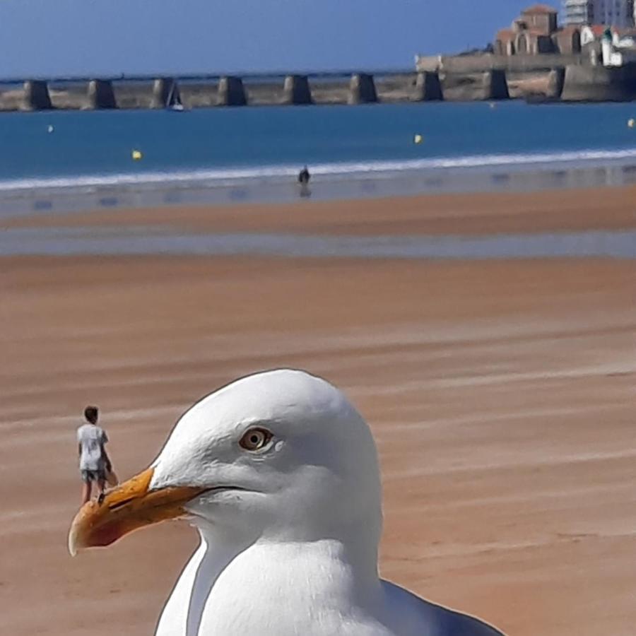 Appartement Vue Sur Mer Les Sables-dʼOlonne Zewnętrze zdjęcie